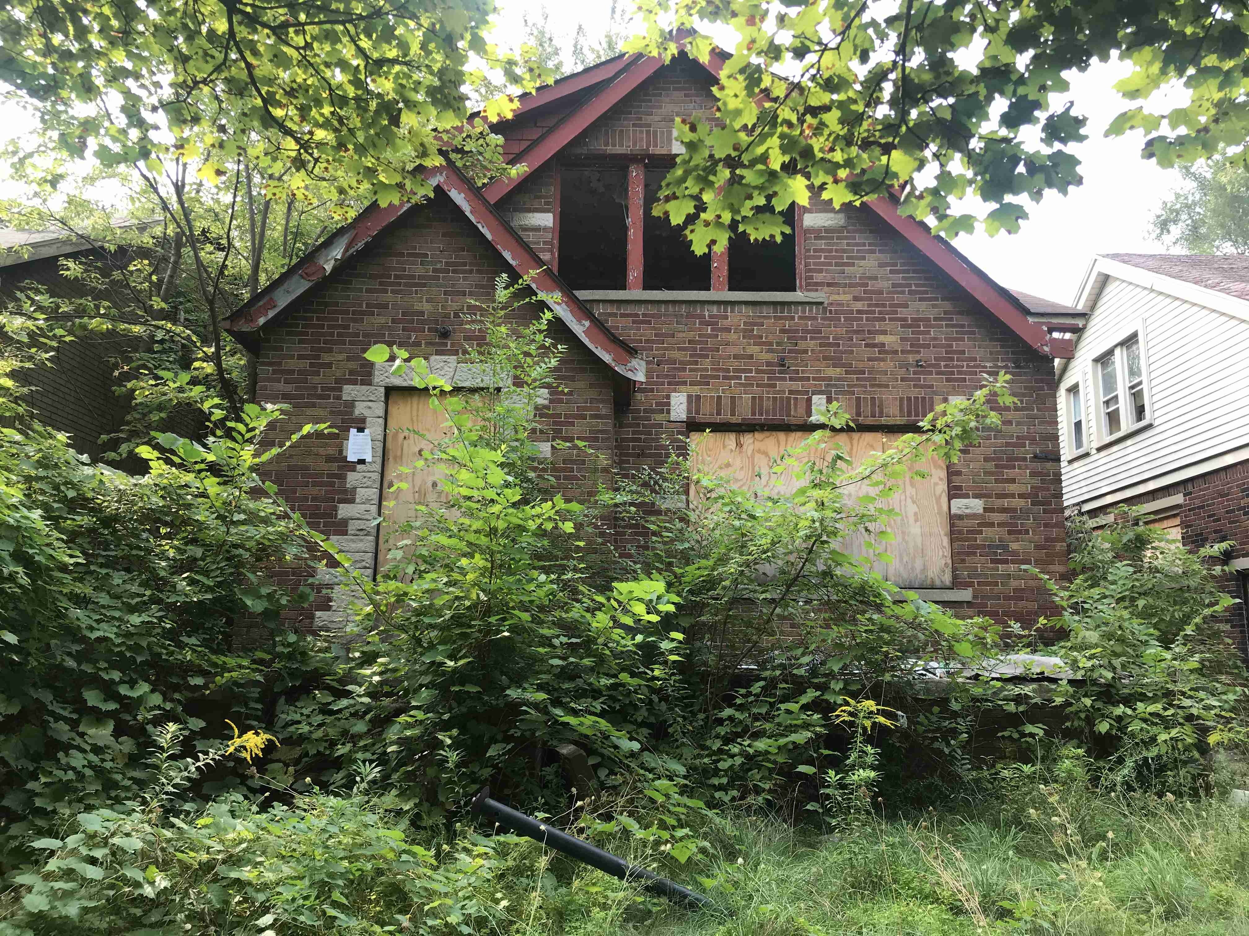 Photo Sep 15, 3 24 56 PM.jpg